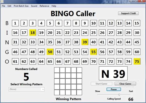 bingo game caller|simulateur caller bingo.